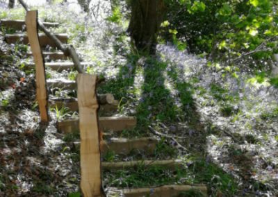 Ash Woods Retreat Woodland