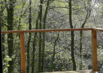Ash Woods Retreat Shepherd's Hut